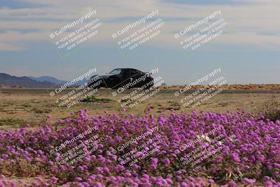 media/Jan-08-2023-SCCA SD (Sun) [[8f6a5b9391]]/Intermediate Group/Session 2 (Short Straight)/